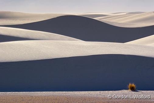 White Sands_31805.jpg - Photographed at the White Sands National Monument near Alamogordo, New Mexico, USA.